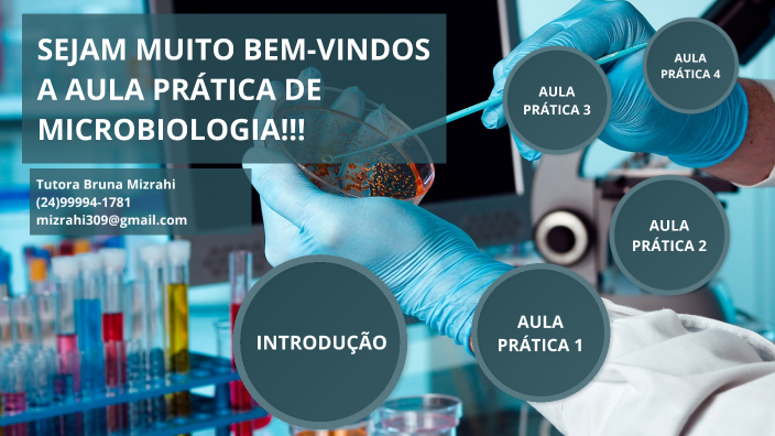 AULAS PRÁTICAS MICROBIOLOGIA By Bruna Mizrahi On Prezi