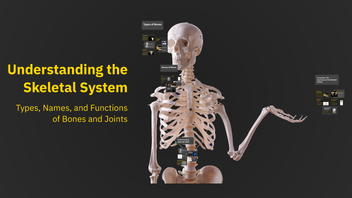 Understanding the Skeletal System by on Prezi