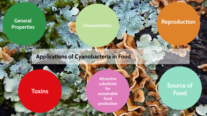 Applications of Cyanobacteria in Food by JOHN PAUL on Prezi