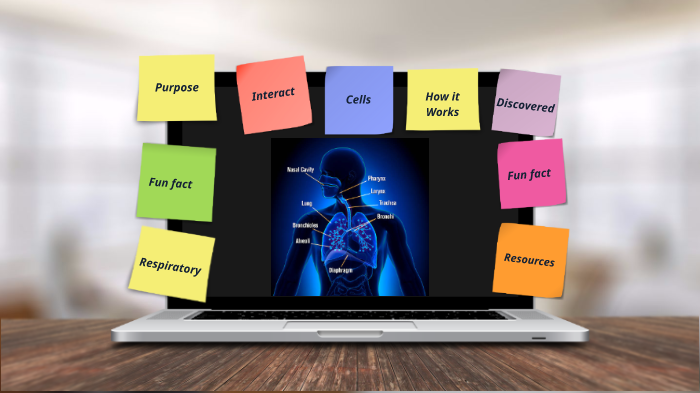 Respiratory System 2 by Thelegend27 Smith on Prezi