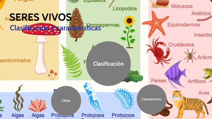 Seres Vivos by Brais Raposo Diaz on Prezi