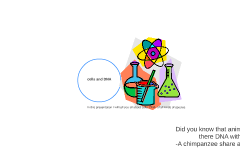 cells and DNA by on Prezi
