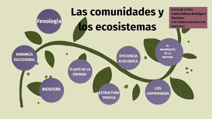 Las comunidades y los ecosistemas by Laura Martinez on Prezi