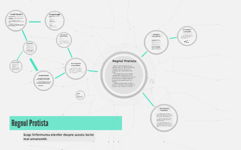 Regnul Protista By Teodora Dragusin On Prezi