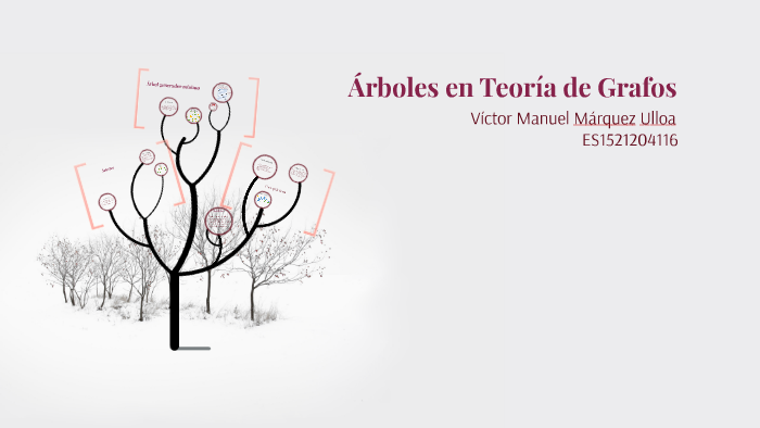 Árboles en Teoría de Grafos by Manuel Ulloa