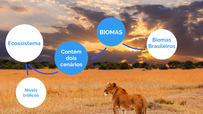 BIOMAS by Paulo S Silva on Prezi