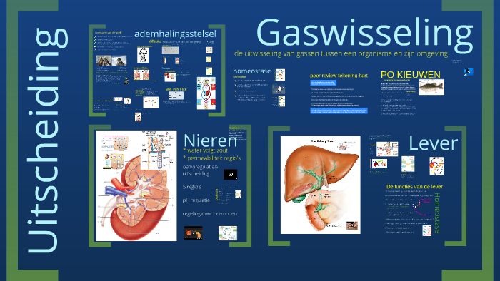 Gaswisseling by Wietske Logtenberg on Prezi