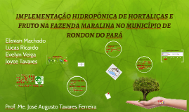 IMPLEMENTAÇÃO HIDROPÔNICA DE HORTALIÇAS NA FAZENDA MARALINA 