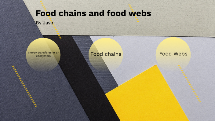 Food webs and food chains by Javin Chugh on Prezi