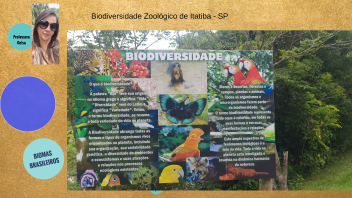 Biomas brasileiros by delsa maura on Prezi