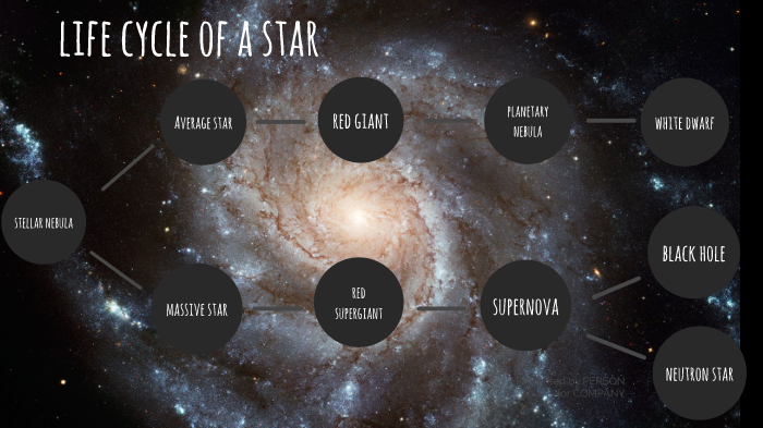 life cycle of a star by alexis schaffer on Prezi