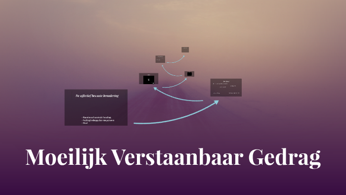 Moeilijk Verstaanbaar Gedrag By Bram Ages On Prezi