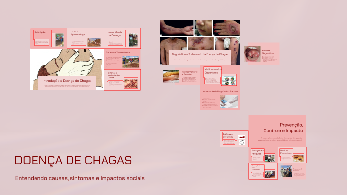 DOENÇA DE CHAGAS by MATHEUS RICORDI on Prezi