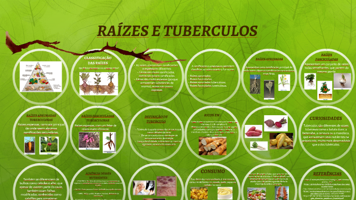 RAÍZES E TUBERCULOS by on Prezi
