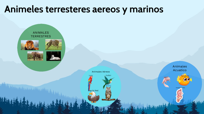 animales marinos terestres y aereos by Karla Ximena Reyes Ortiz on Prezi