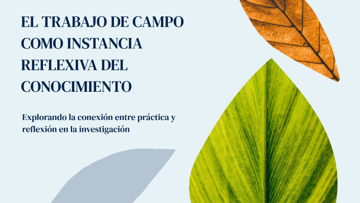 El Trabajo De Campo Como Instancia Reflexiva Del Conocimiento