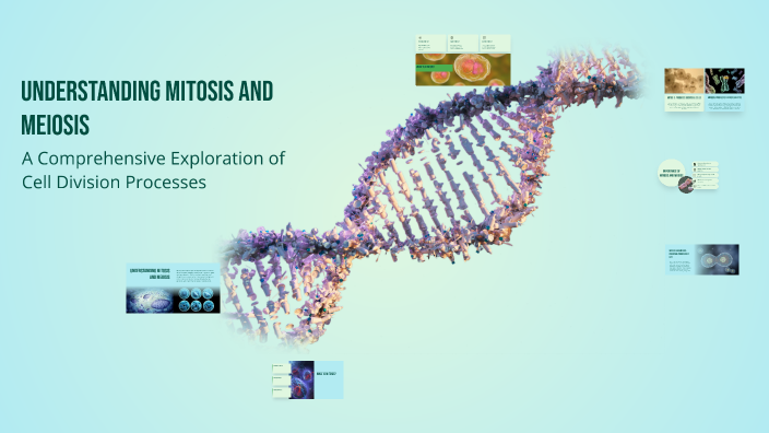 Understanding Mitosis and Meiosis by Ashianna Natalie on Prezi
