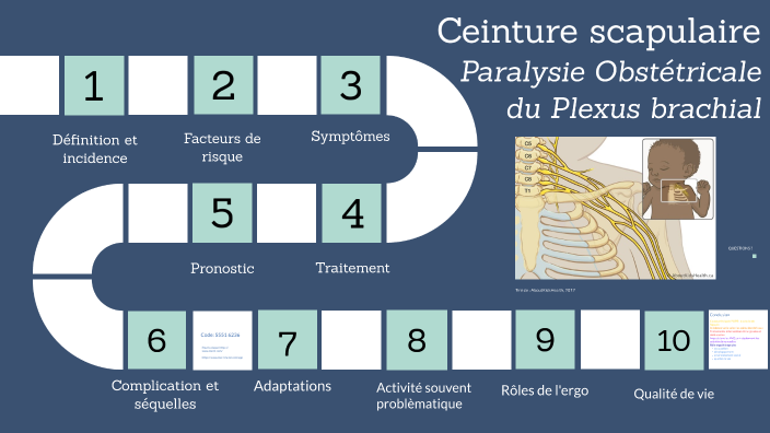 Ceinture scapulaire Paralysie Obstétricale du Plexus brachial by ...