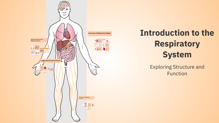 Introduction to the Respiratory System by Tammy Blobaum on Prezi