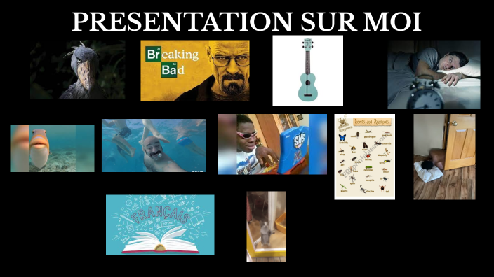 PRESENTATION by Alex Tran on Prezi