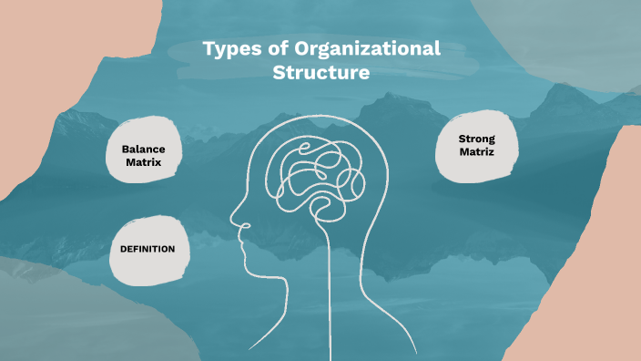 Types of Organizational Structure by Irene Valenzuela on Prezi