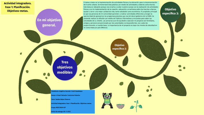 Actividad Integradora. Fase 1: Planificación. Objetivos-metas. By Liz ...