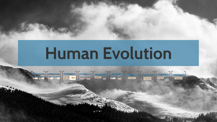 Human Evolution by Amelia Lundstrom on Prezi