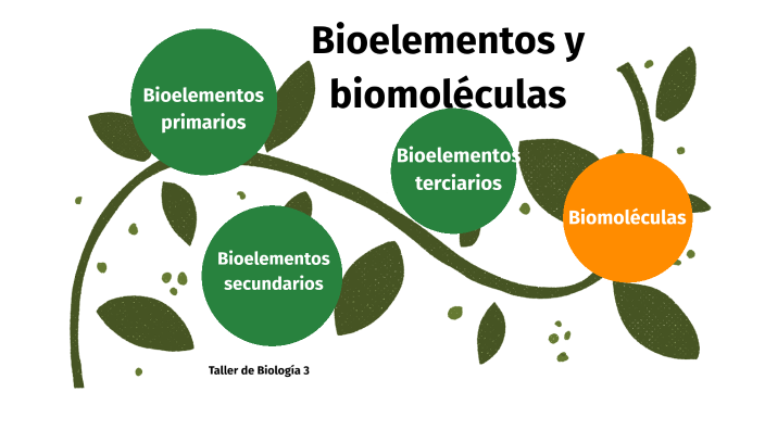 Bioelementos y biomoléculas by Diego Albarracín Calderón on Prezi