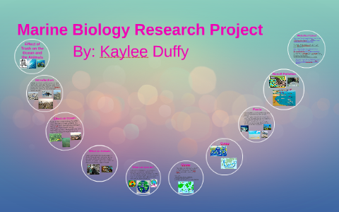 marine biology research project ideas