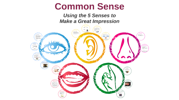 Common Sense Using The 5 Senses To Make A Great Impression By Joseph