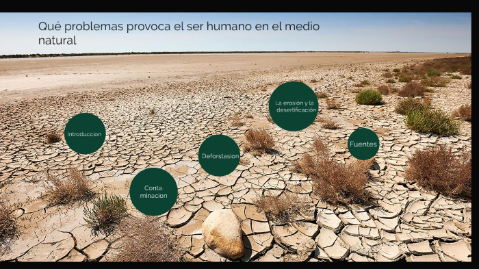 Qué problemas provoca el ser humano enel medio natural by Amelie Muñoz