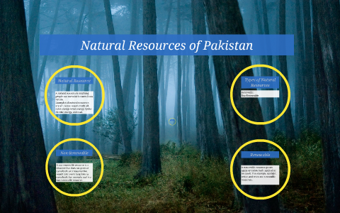 essay on pakistan natural resources