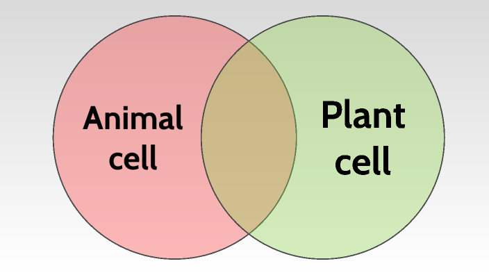 Plant vs. Animal cells by Franziska Messenböck on Prezi