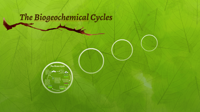 The Biogeochemical Cycles by Natalie Potter on Prezi