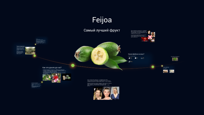 Feijoa by Egor Rakitin on Prezi