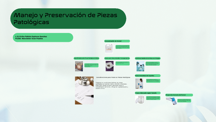 Manejo y Preservación de Piezas Patológicas by Yohebeth Mancisidor on Prezi