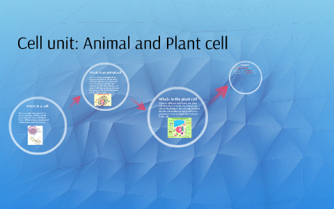 Cell unit: Animal and Plant cell by Hogan Schulz on Prezi
