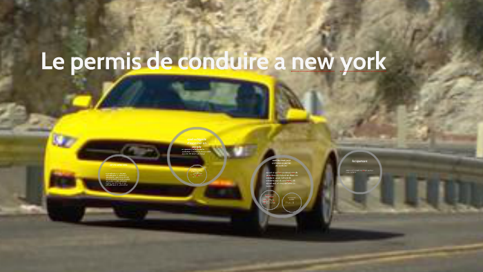 permis de conduire international new york