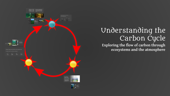Understanding the Carbon Cycle by Brianna Darwin on Prezi