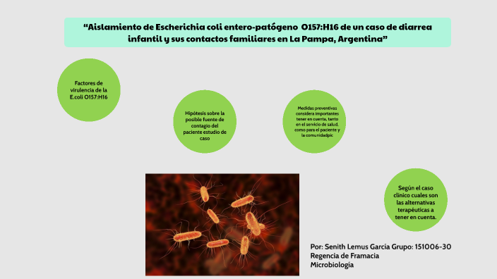 Estudio de caso E.coli Micro Senith by Senith Lemus García on Prezi