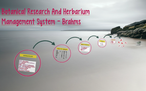 Botanical Research And Herbarium Management System by Rony Ristow on Prezi