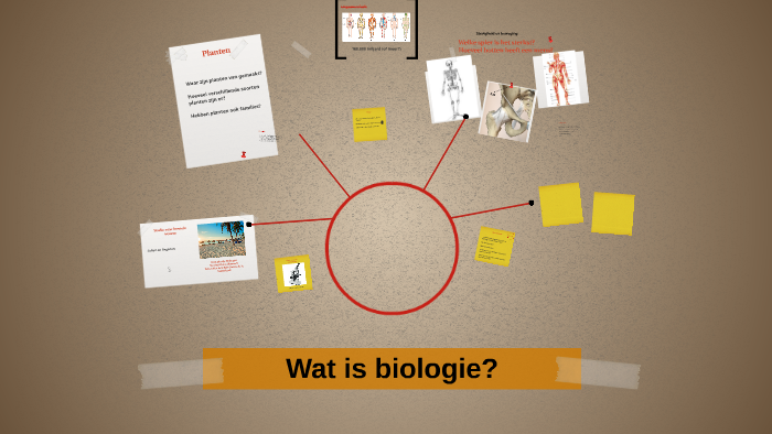 Wat is biologie? by juliette dinghs