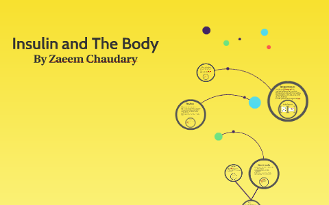 Insulin and The Body by Zaeem Chaudary on Prezi