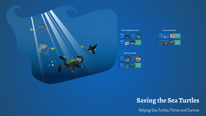 saving the sea turtles by Reese Curtis on Prezi