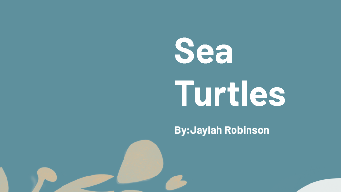 Sea Turtles by Jaylah Robinson on Prezi