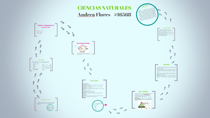 Método Científico by Andrea Flores on Prezi