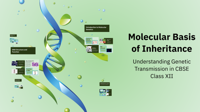 Molecular Basis of Inheritance by rinkey saini on Prezi