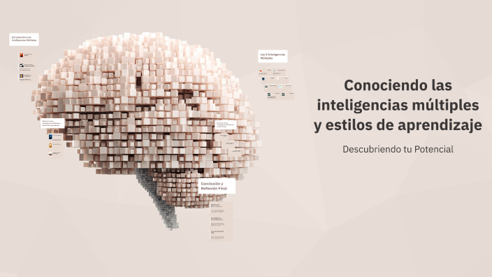 Conociendo las inteligencias múltiples y estilos de aprendizaje by ...