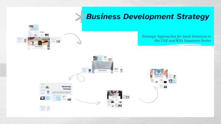 Business Development Strategy by Mohamed Bashir on Prezi