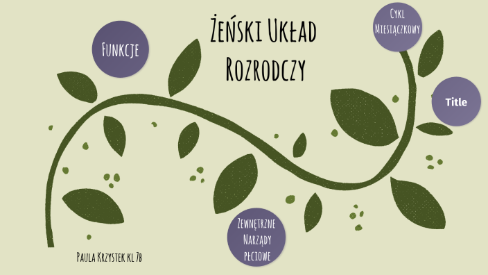 Żeński Układ Rozrodczy By Paula Krzystek 4944